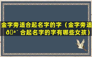 金字旁适合起名字的字（金字旁适 🪴 合起名字的字有哪些女孩）